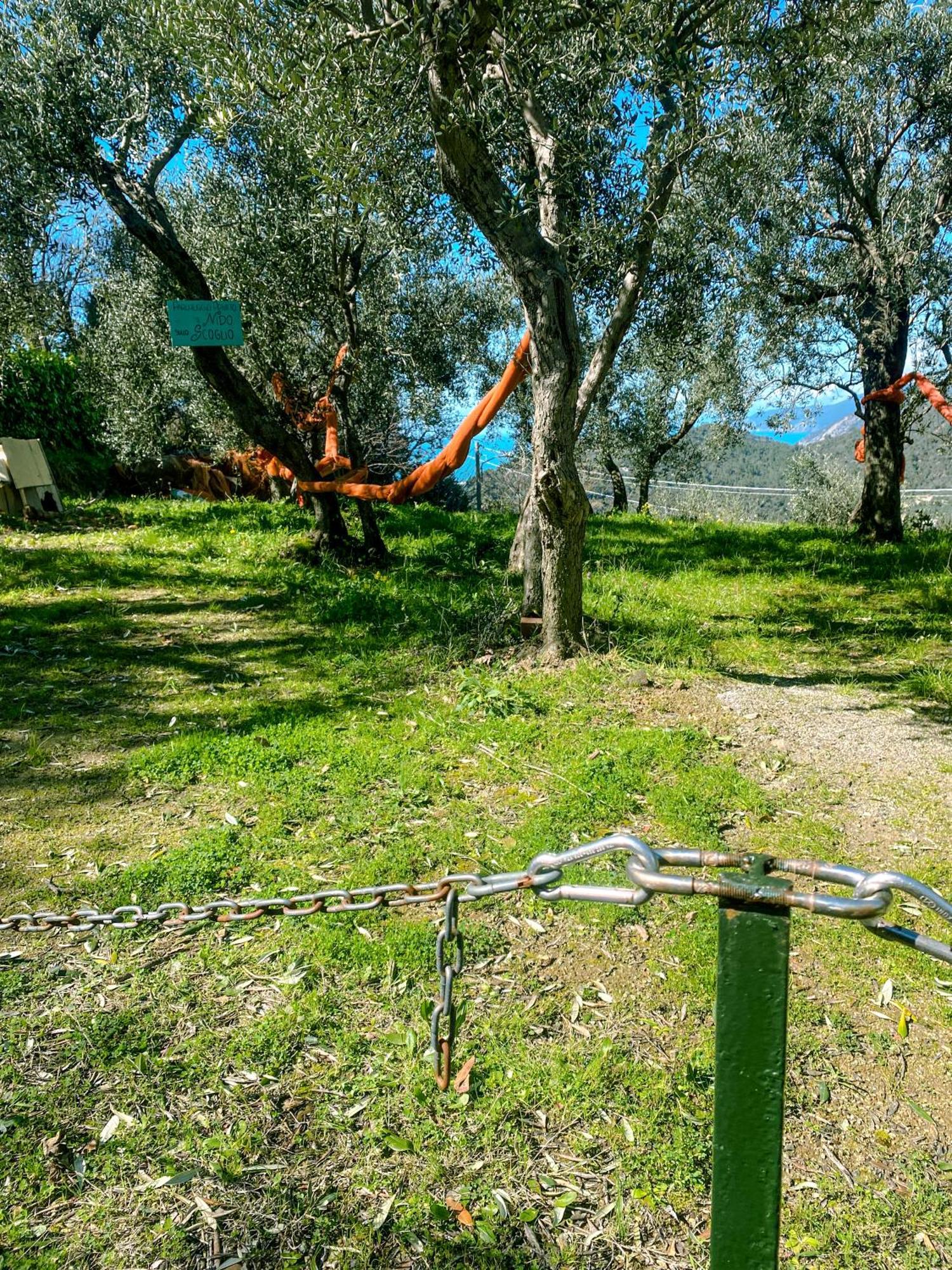 Il Nido Sullo Scoglio
